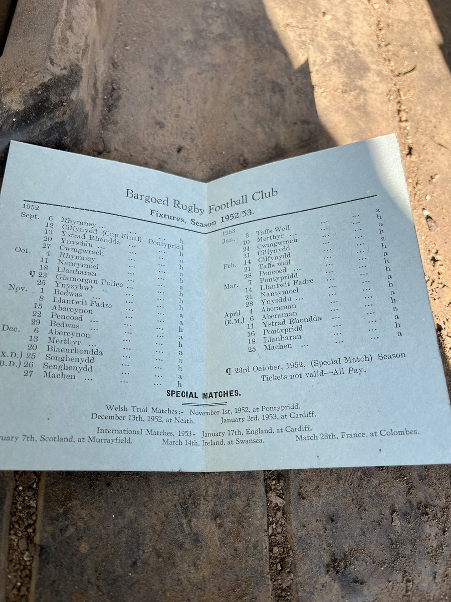 gwyn morris tweet media