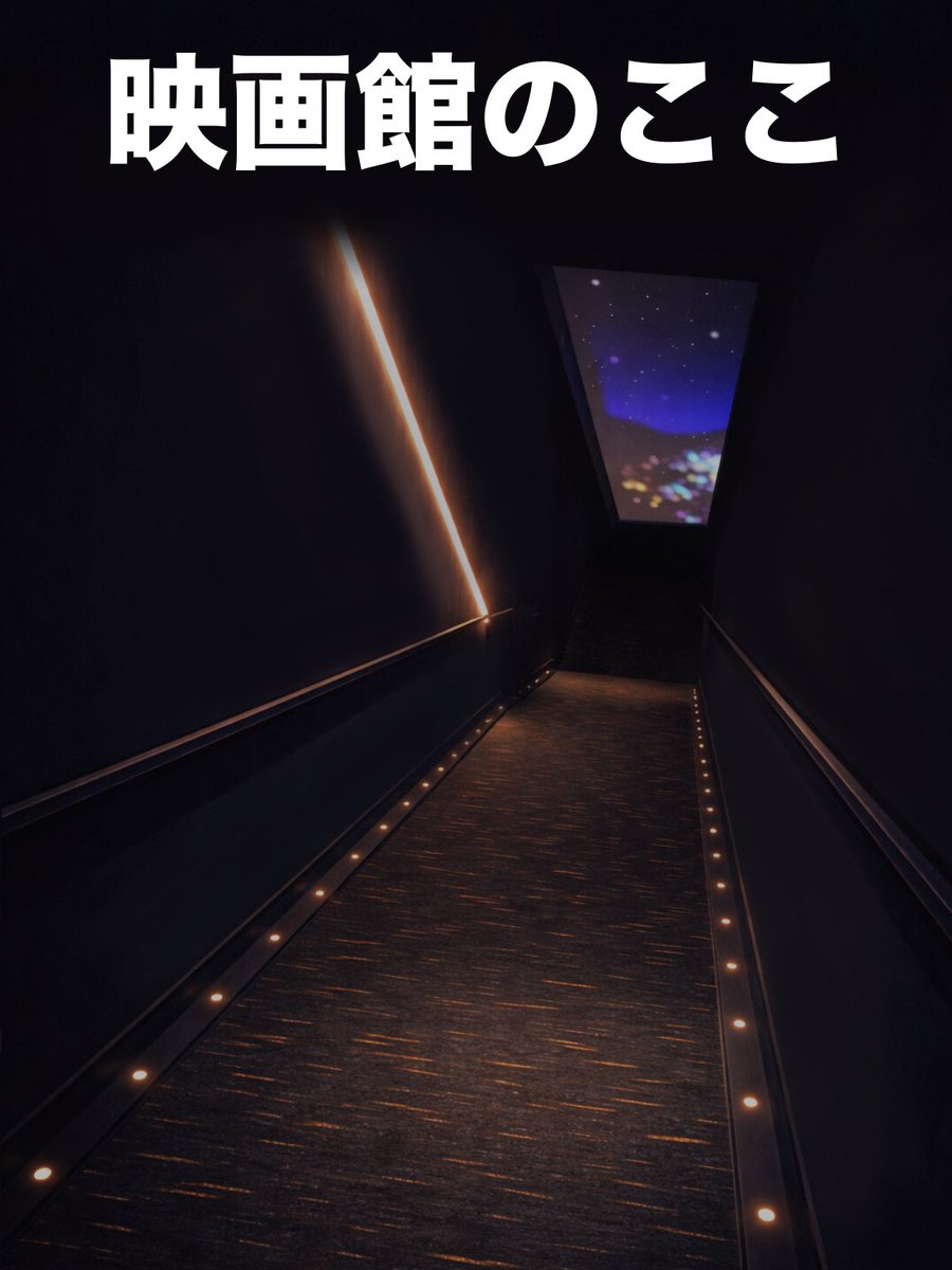 ʚ_ 𝙢𝙖𝙞_ɞ tweet media