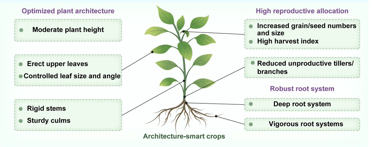Microbial Biotechnology (MBT) tweet media