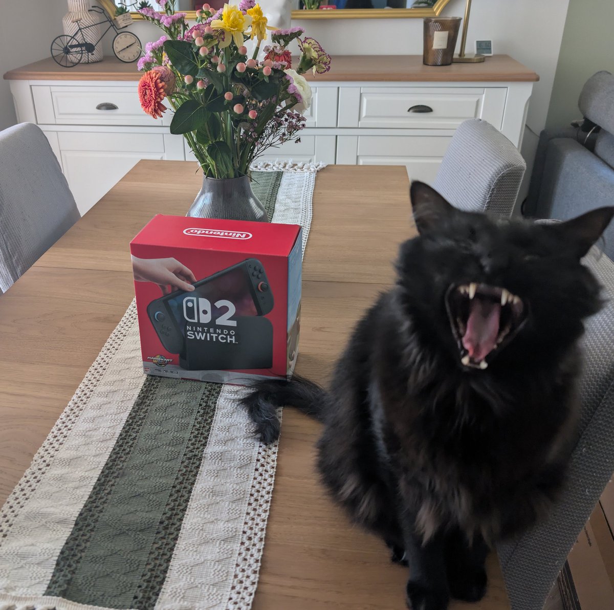 Mon chéri m'a offert la Switch 2 pour jouer à Pokémon Pokopia. 👉👈
(Calcifer vous salue au passage)