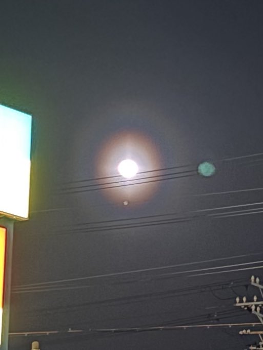 弦間 彩華(テレビ静岡アナウンサー) tweet media