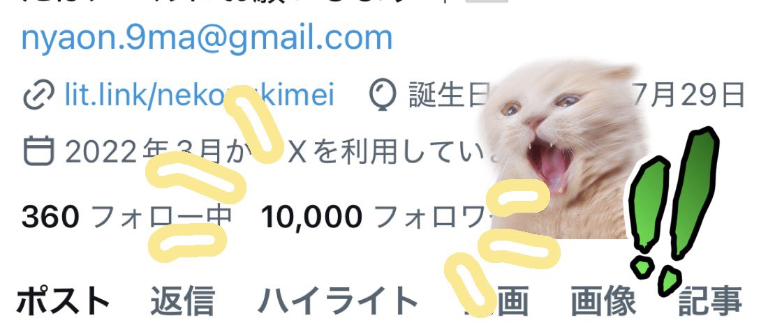 猫月めい tweet media