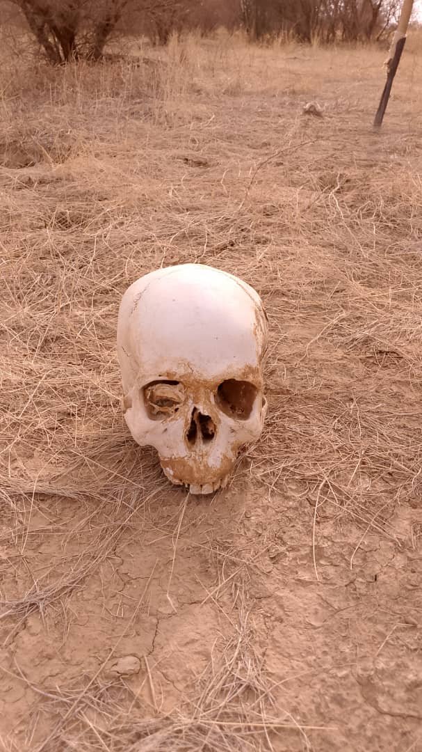 oumaragg's tweet photo. Tué par #Wagner et #Fama à Iniskak, leurs squelettes ont été découvert aujourd'hui. https://t.co/ao8OskTIMl