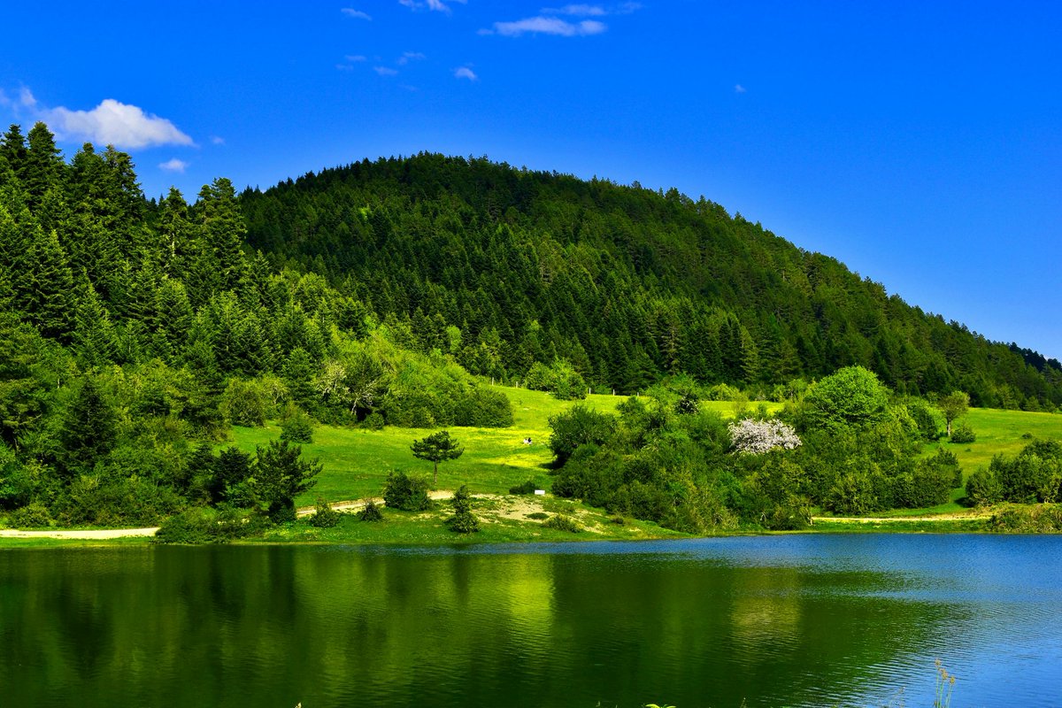 🍀
في لحظات الضعف، تذكر أن الصمت مع الله أبلغ من ألف كلمة .
لا تحتاج أن تشرح له حالك.. هو يعلم السر وأخفى .
فقط استغفر، وادعُ، واترك الباقي له .
الفرج يأتي أحيانًا من حيث لا نحسب .🌙💫