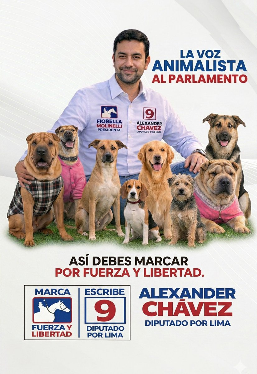 Alexander Chavez tweet media