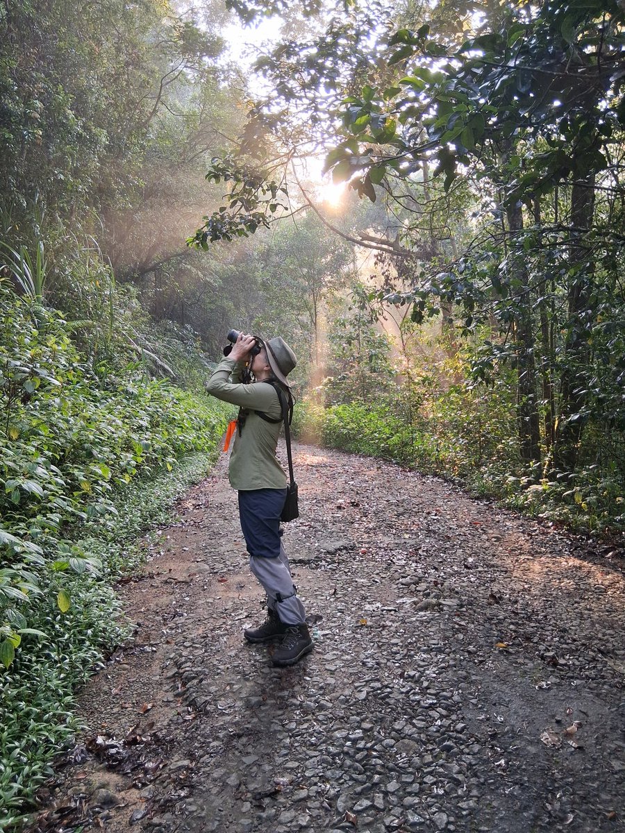 macbean50's tweet photo. @AlanDaviesbirds @Rutlandbirds Sri Lanka. A great 3 weeks birding, culture etc with husband Mike. Made 177 species including 27/35 endemics with great malkoha sightings (both species). Very good for a non-birding trip. https://t.co/bqAGyuxrzB