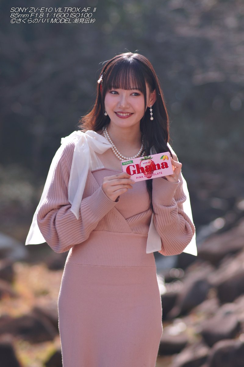 🇺🇦さくら🐇のパパ🇯🇵高配当株に移行中🇺🇦 (@K70_55) / Posts / X