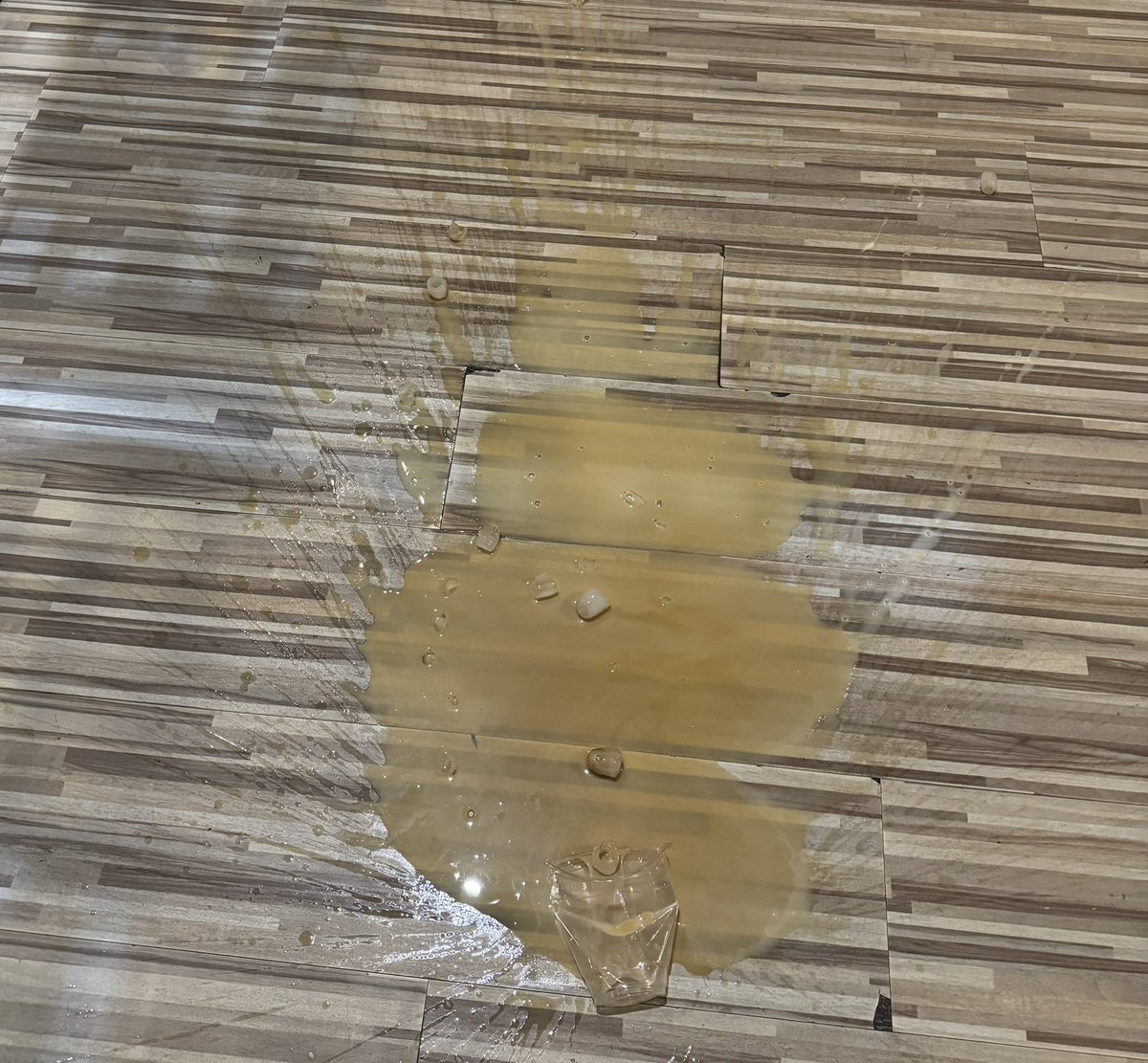 günün mallık seviyesi