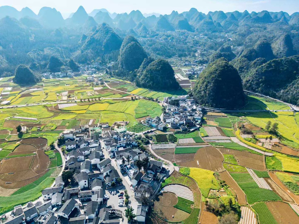 Jarrett Jack(互fo) tweet media