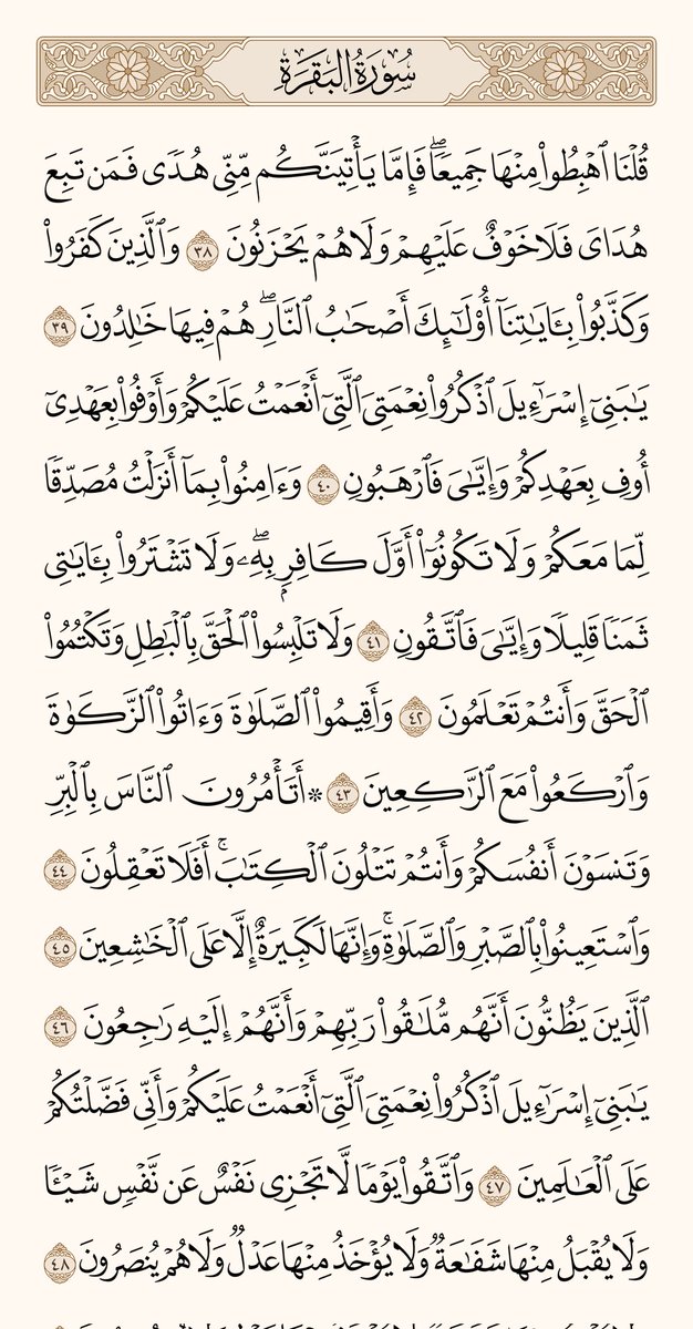 الْمُصْحَف tweet media