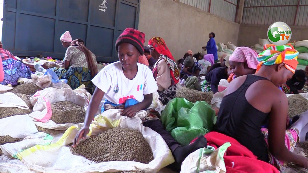 GOODRICH TV tweet media