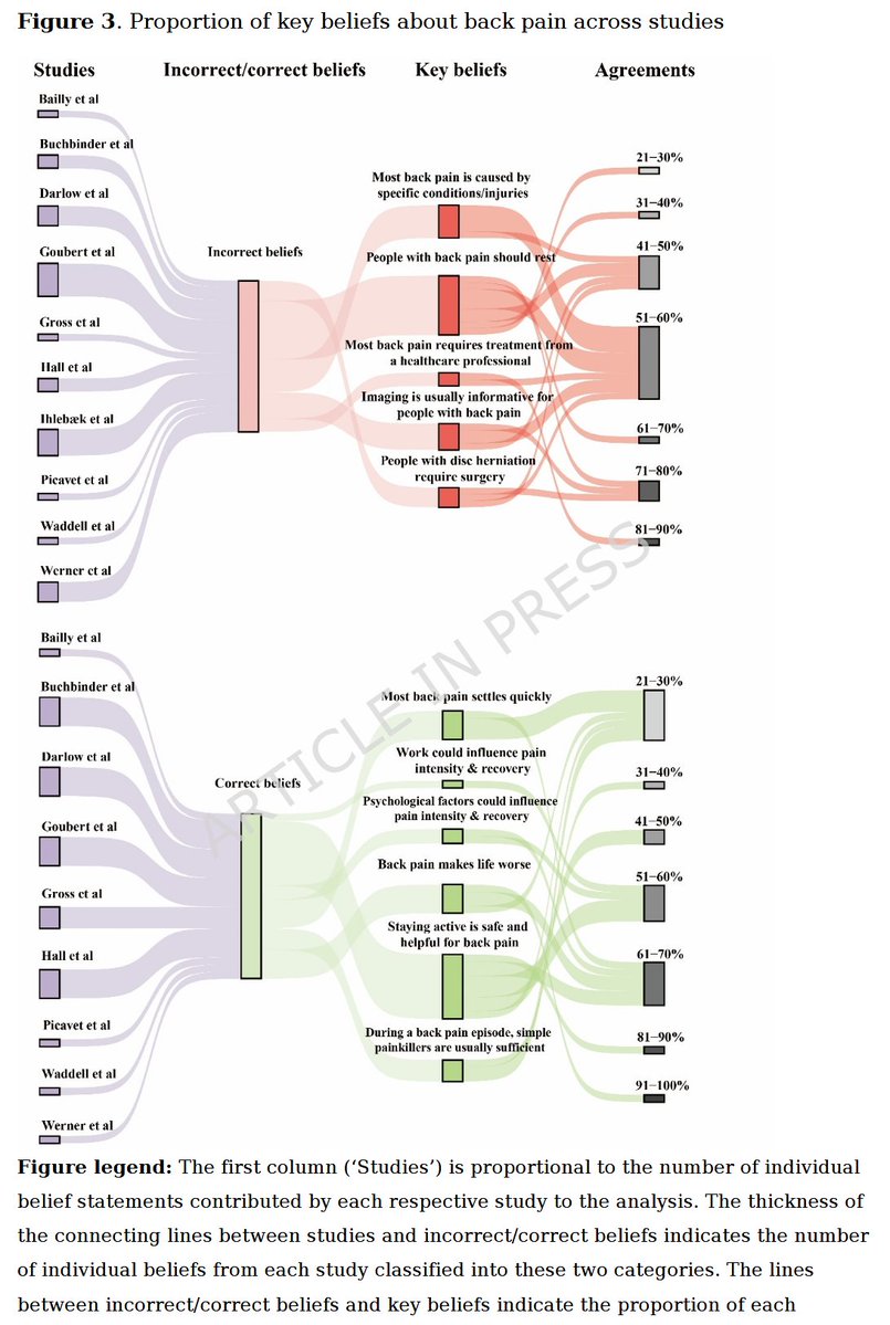 Physio Meets Science tweet media