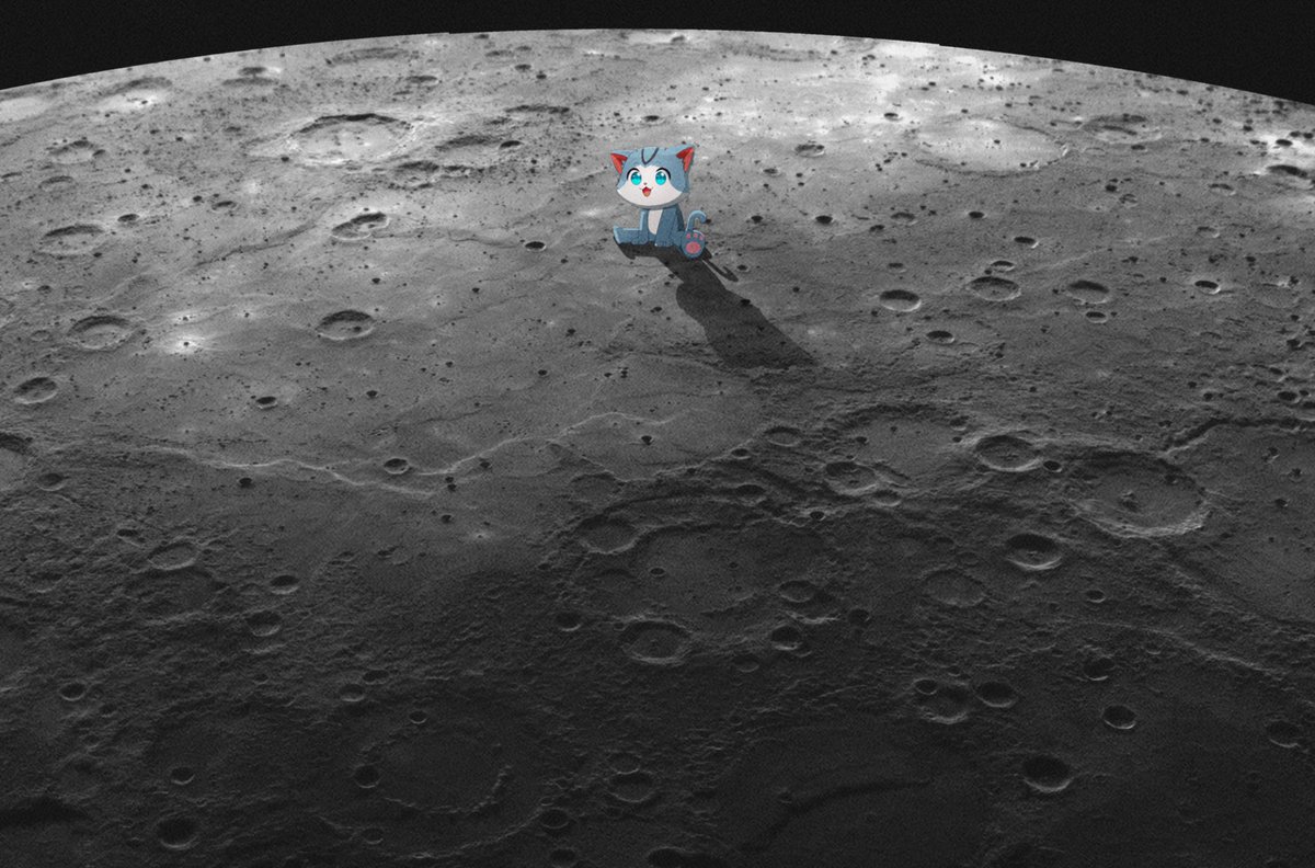 Wen《黎明⚡》 tweet media