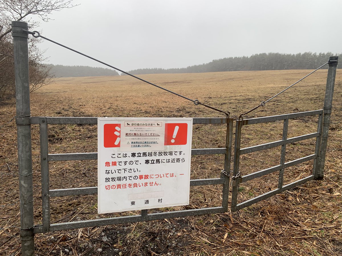 寒立馬を見に来たけどいる気配がないので村役場に電話してみたら、「今は出産準備に入っていて移動している。観光客は見られません。」とのこと。
昨日の天気予報で雪が降るとのことで急いで機材を積んでやってきたけど無駄だった。このまま800キロ運転して帰ろうw