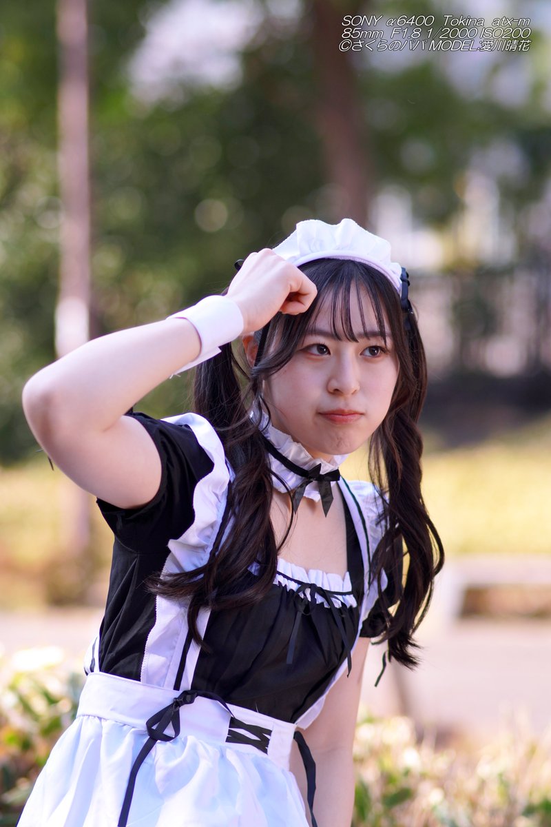 🇺🇦さくら🐇のパパ🇯🇵高配当株に移行中🇺🇦 (@K70_55) / Posts / X