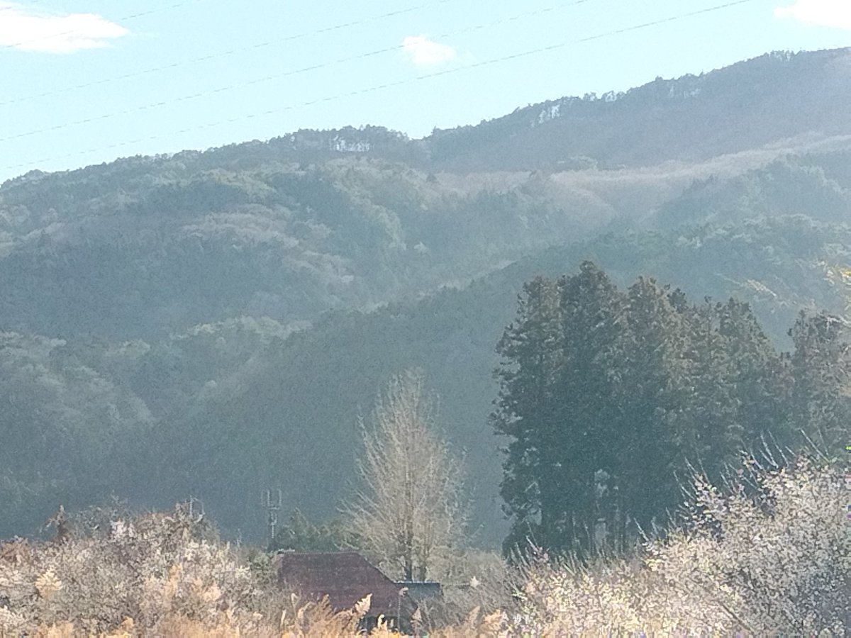 さすらいの百姓 tweet media