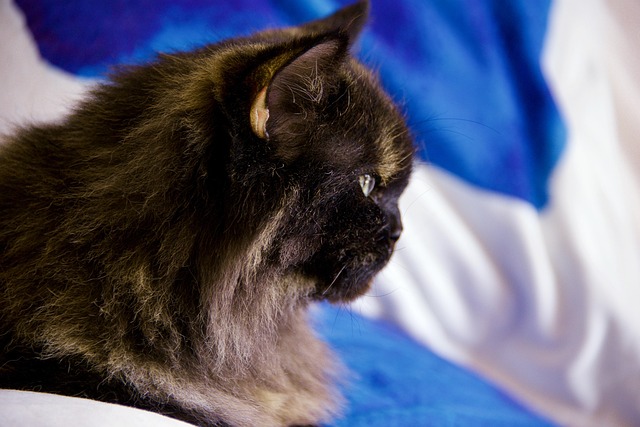 รับงานชลบุรี รับงานบางแสน พัทยา tweet media