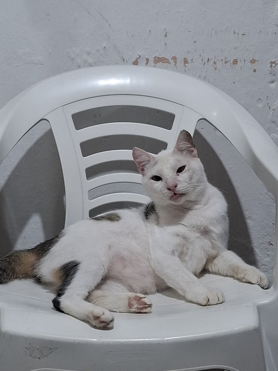 puta que pariu chitãozinho mentioned!!!