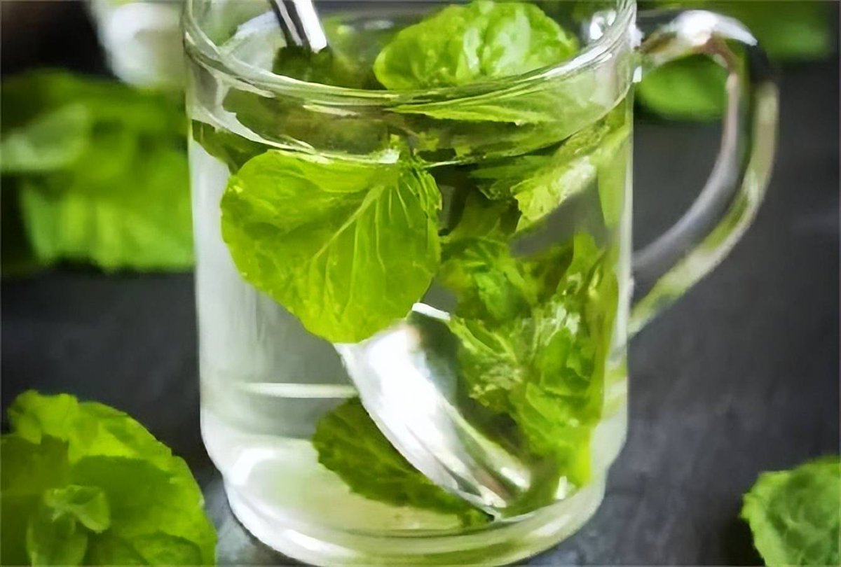 Morris15360626's tweet image. 5-Minute Refreshing Cucumber-Mint Cooler!  Chop  cucumber + 10 mint leaves, blend with 200ml coconut water + ice. Strain, garnish with mint. Beat the heat—light, hydrating, zero added sugar!  #QuickDrinks #HealthySips