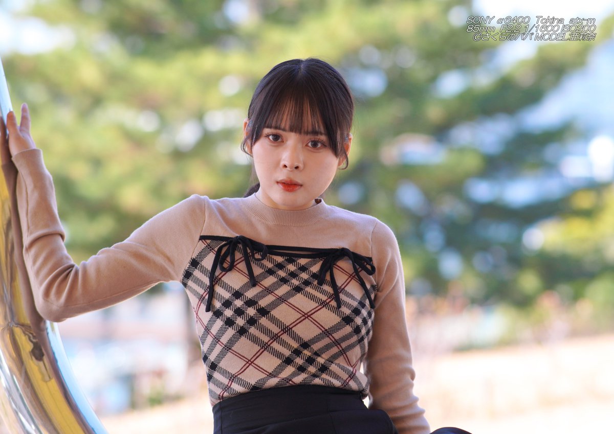 🇺🇦さくら🐇のパパ🇯🇵高配当株に移行中🇺🇦 (@K70_55) / Posts / X