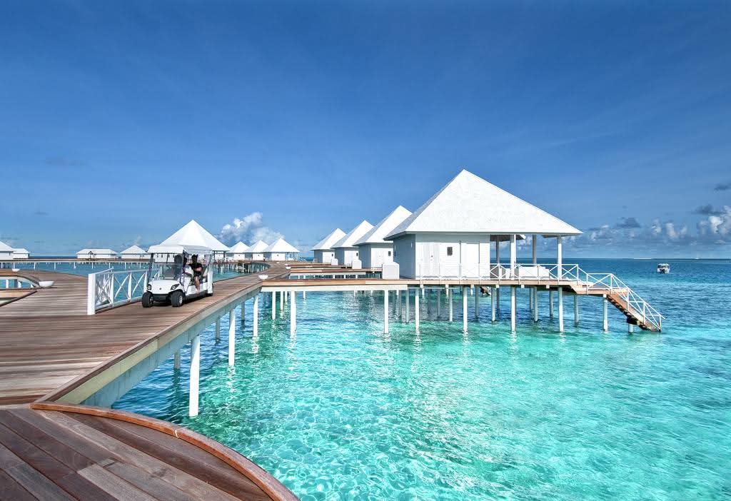 Hashtag_Hol_ZA's tweet photo. Blue Waters.
White Sand.
Tropical Bliss.
Yes. Yes. And. Yes.
📍Diamonds Thudufushi 5* Maldives
7 Nights from R48 207 pps
Availability : 01 May- 30 June 2026
https://t.co/PFJDSwvsSS
Ts & Cs https://t.co/87tpuDOjXH