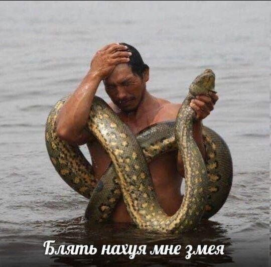 meatngr4ss's tweet photo. ви лив ин сосиети где актив можно поднять только нсфв черкашами💔

#victorgideon
#RE9 https://t.co/EuApJfdJHy
