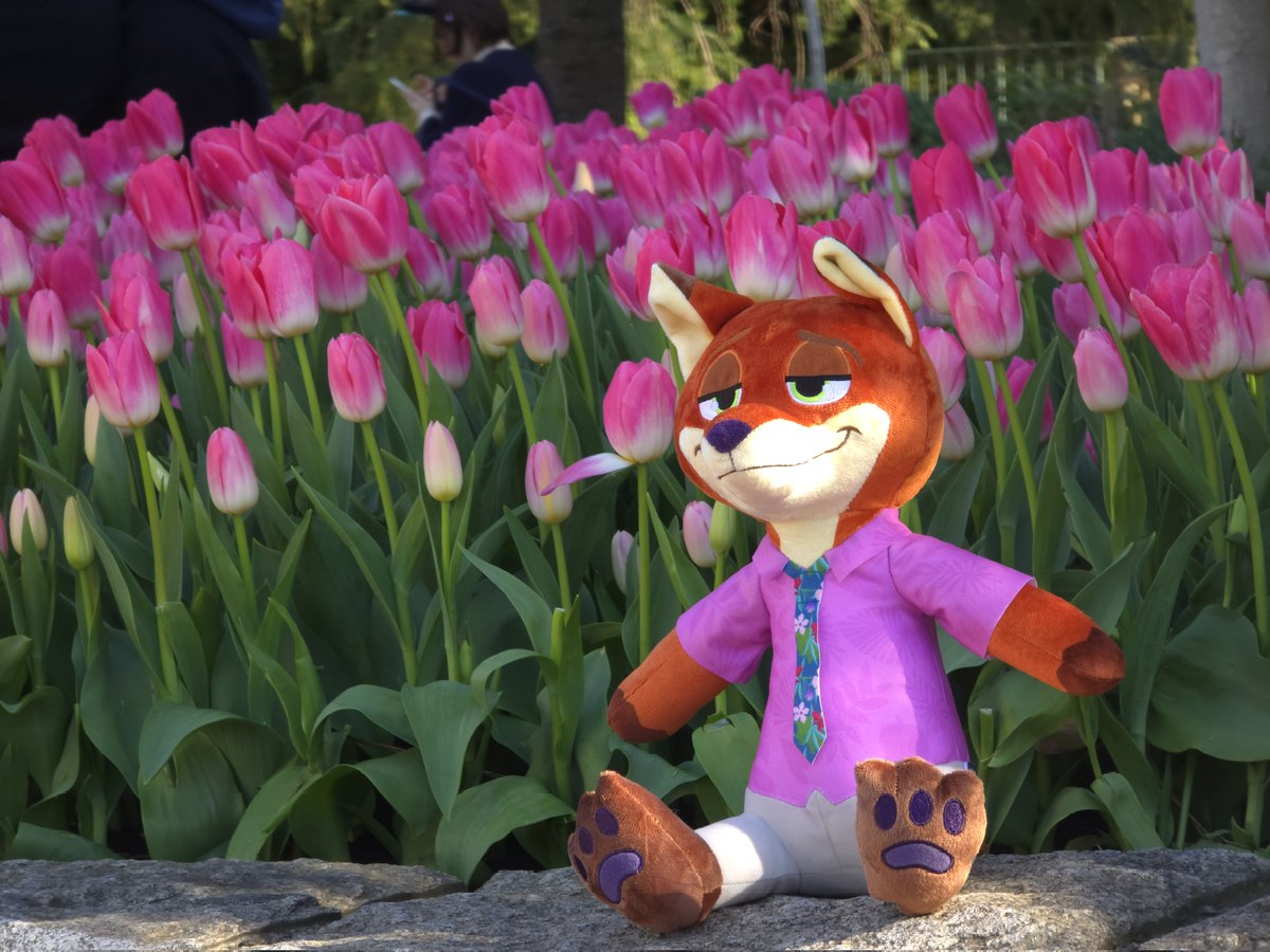 誕生日(スクリーンデビュー)おめでと〜！