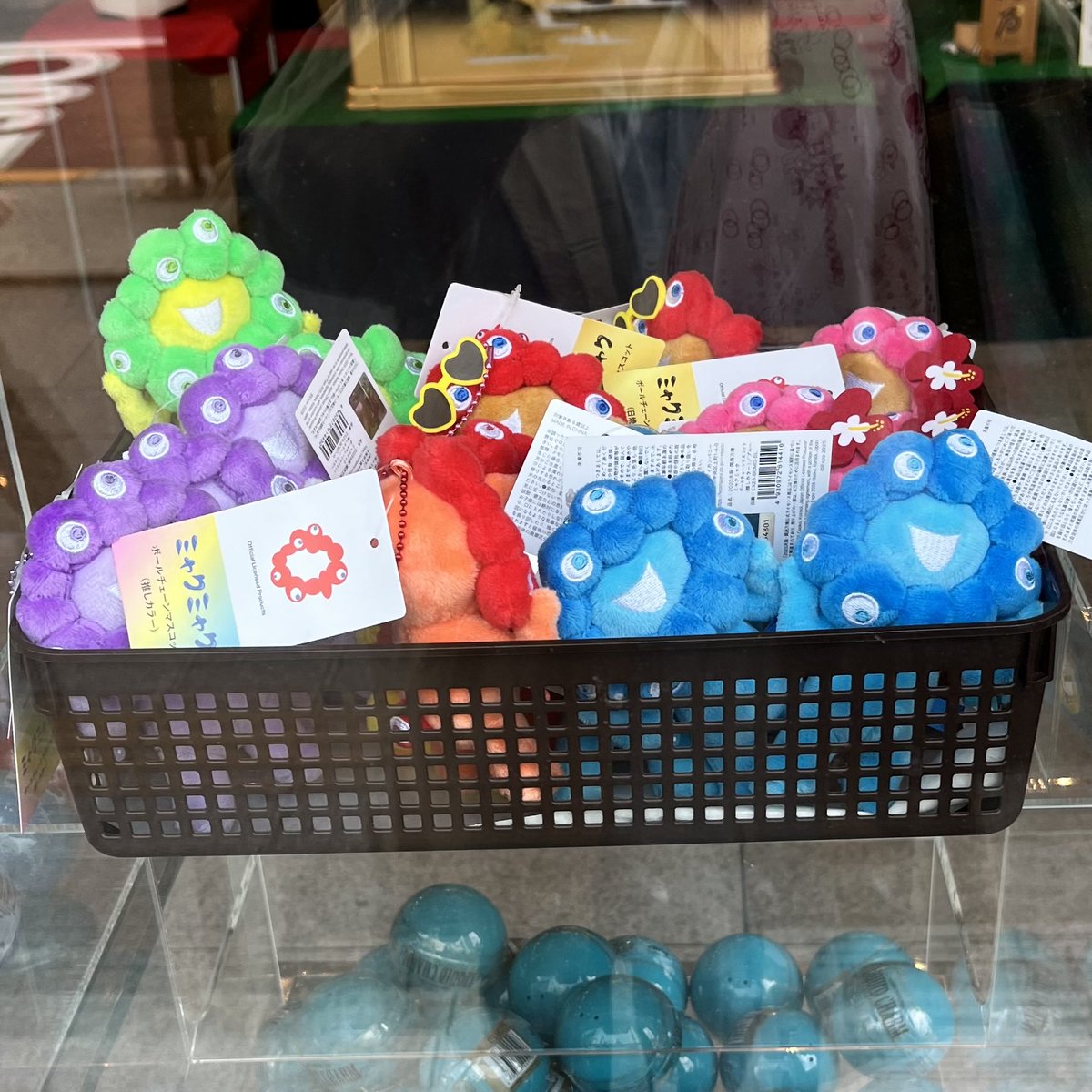 本日11時頃の浅草橋😍✨ この時点ではまだ在庫あり。 これにて家族所望