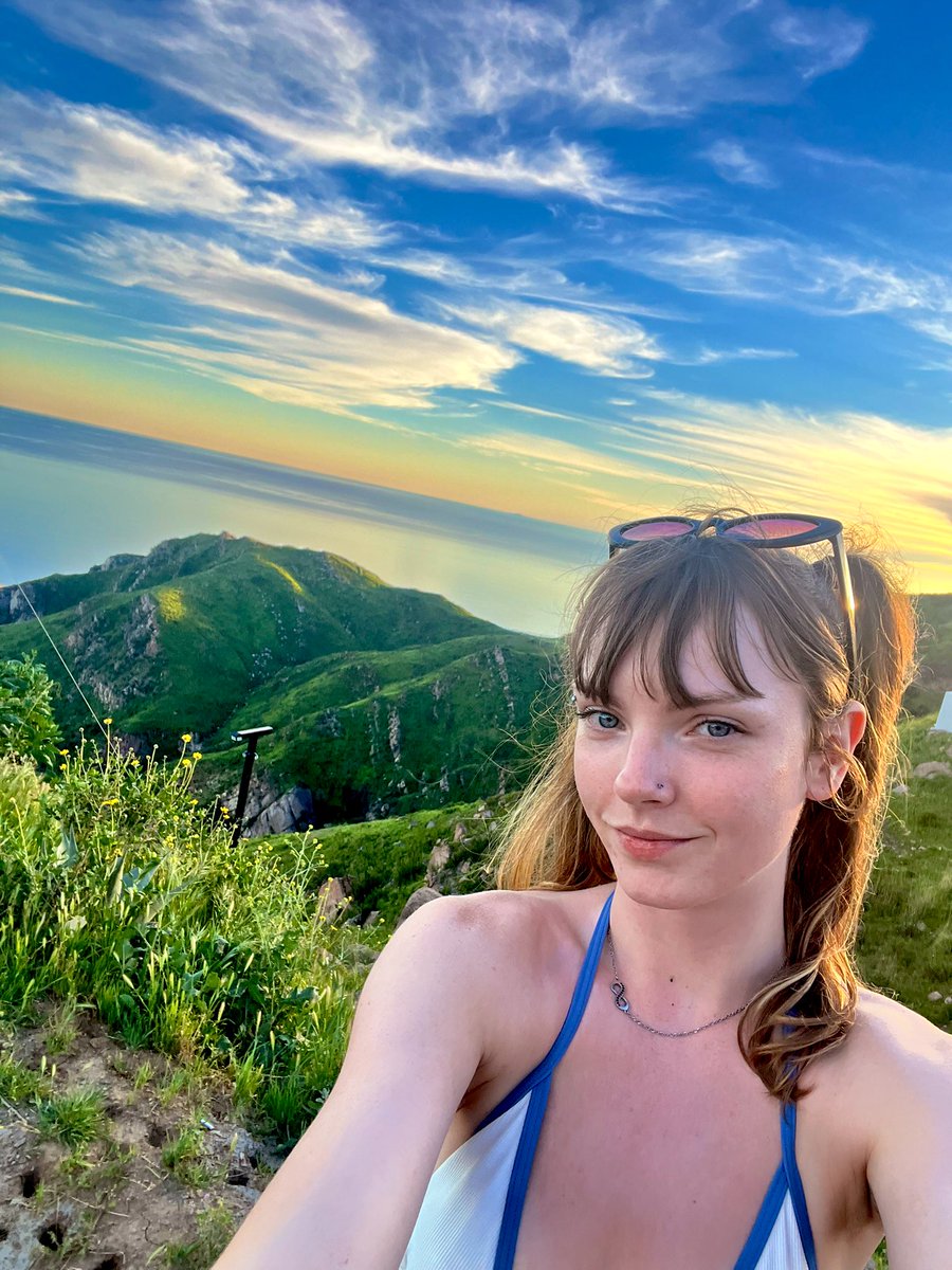 ZOF (evil) tweet media