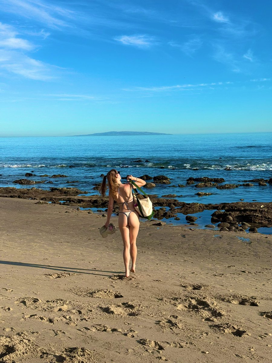 ZOF (evil) tweet media