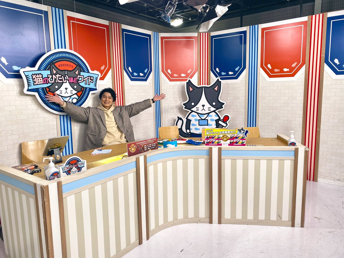 猫のひたいほどワイド (@nekonohitai_tvk) / Posts / X