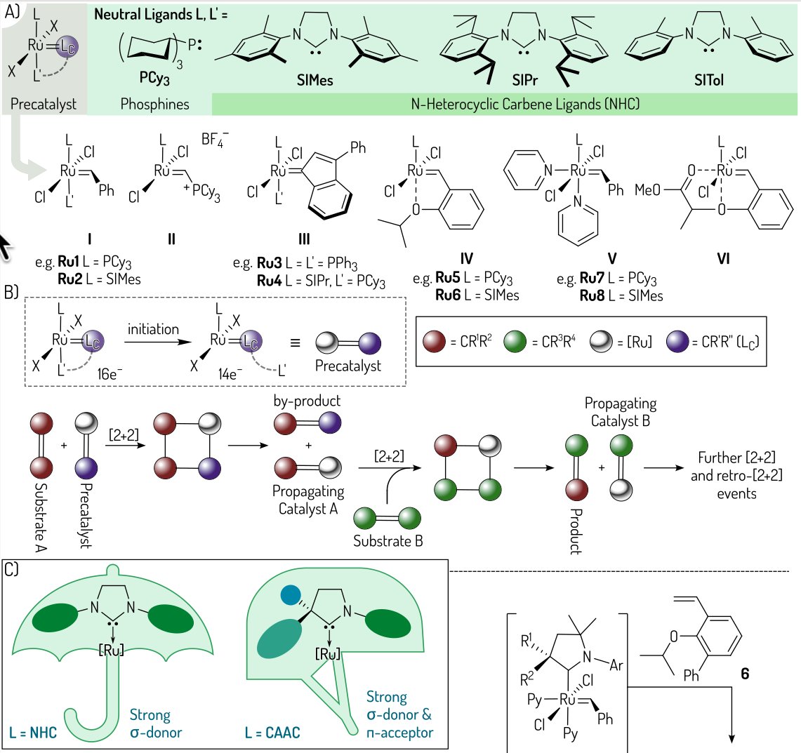 Karol Grela tweet media