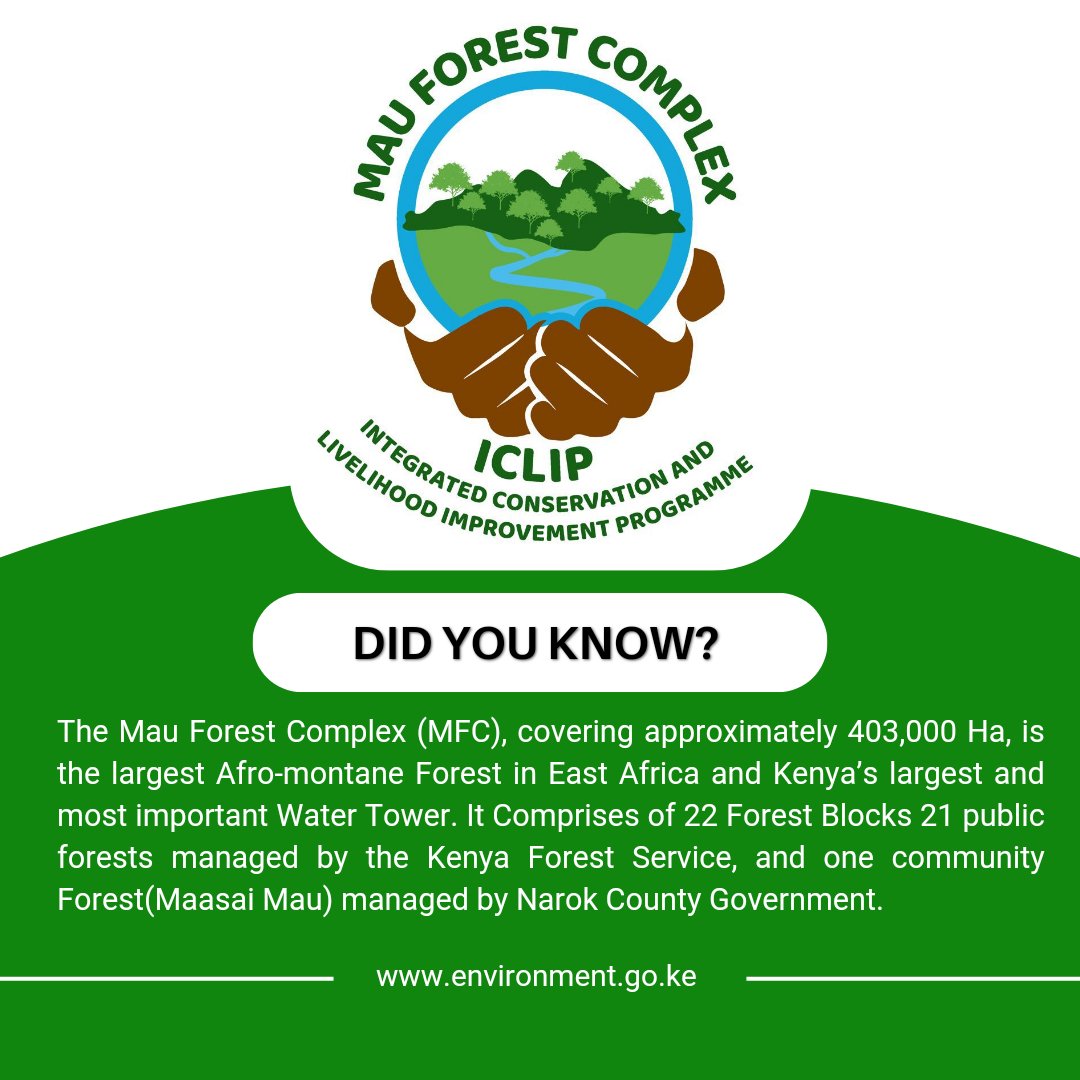 MauForestComplex_iclip tweet media