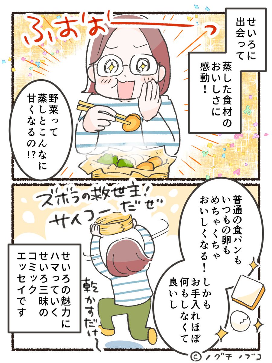 ノグチノブコ🥟ズボラ人間、せいろ蒸し生活はじめました!3/4発売予定 tweet media