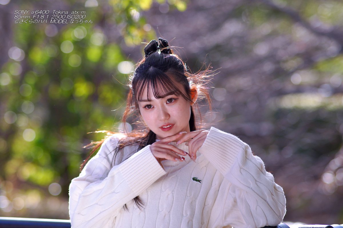 🇺🇦さくら🐇のパパ🇯🇵高配当株に移行中🇺🇦 (@K70_55) / Posts / X