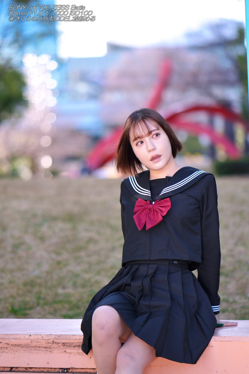 🇺🇦さくら🐇のパパ🇯🇵高配当株に移行中🇺🇦 (@K70_55) / Posts / X