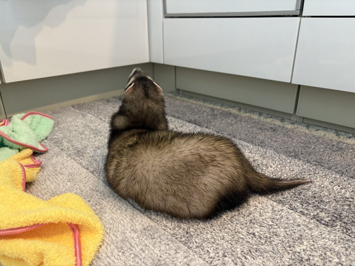 使って縮んだのかも🤣🤣🤣