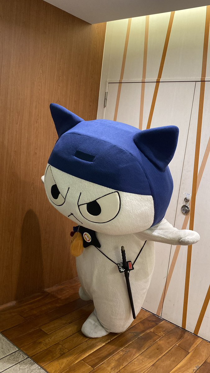 erk_1126_'s tweet photo. @shiho_artista 東京駅🗼
4枚目足長？アピールするネコ笑 https://t.co/FdytkPnRqE