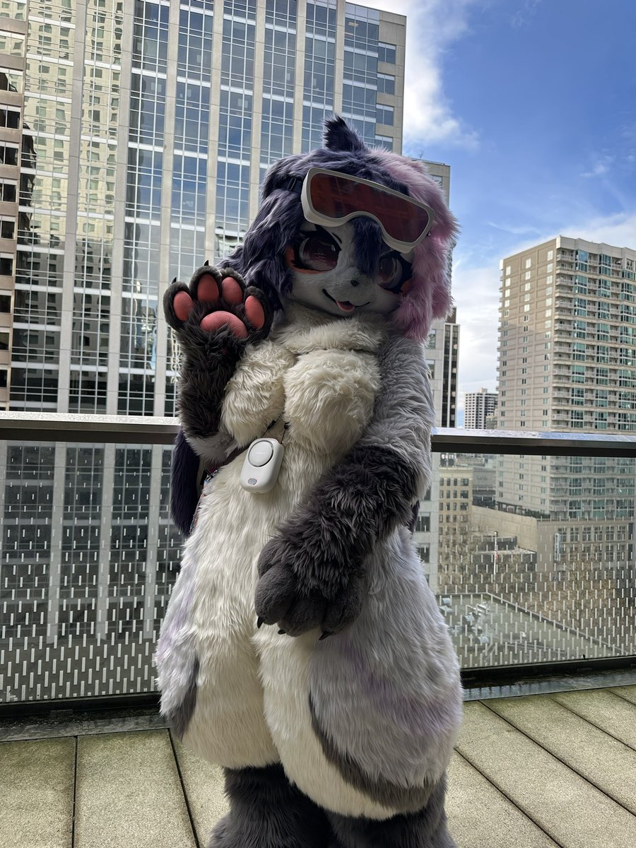 Juno 🐳 tweet media