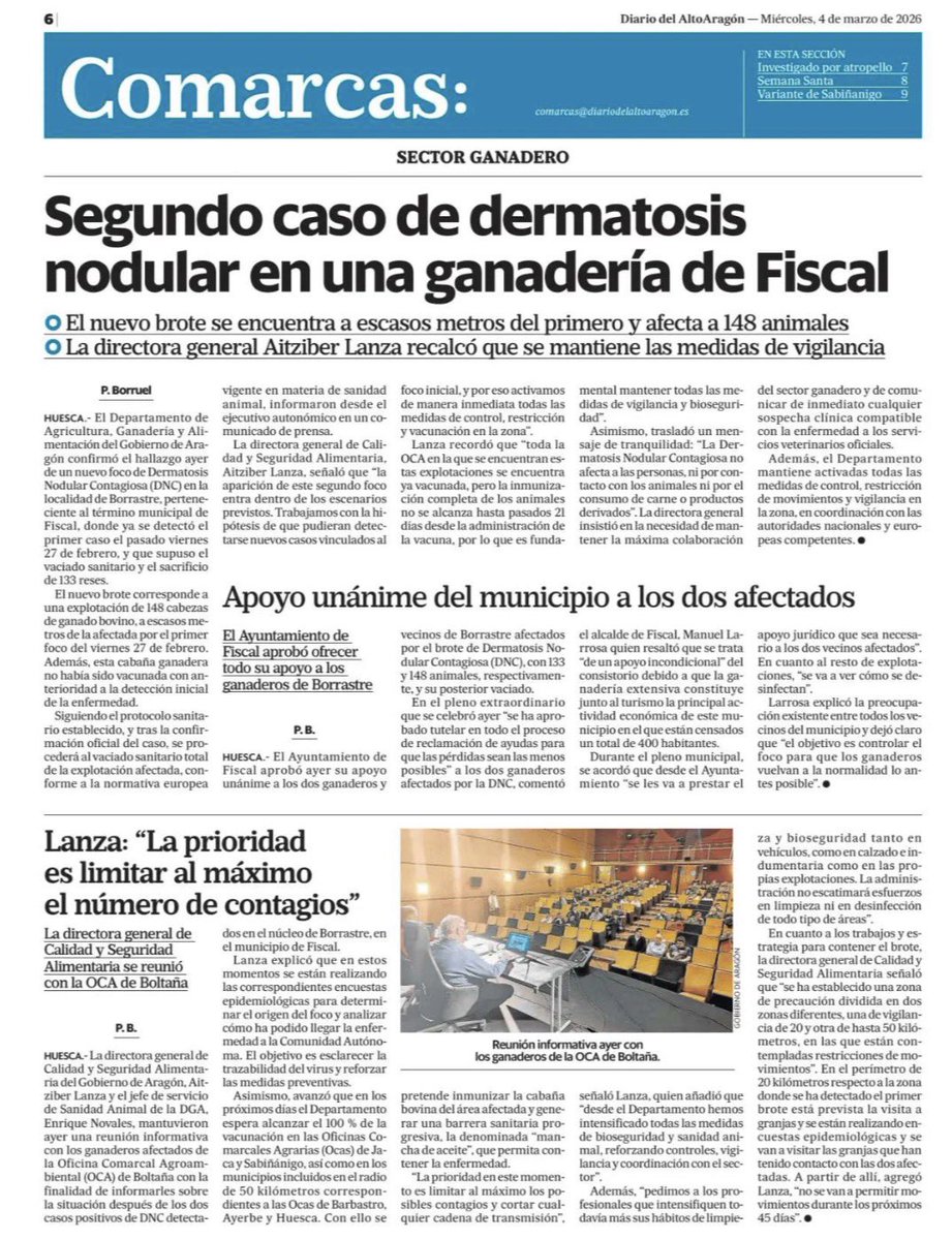 Óscar Sayagués tweet media