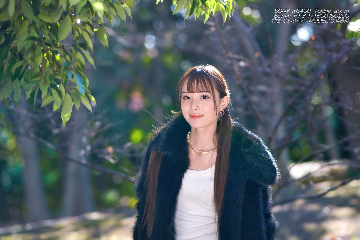 🇺🇦さくら🐇のパパ🇯🇵高配当株に移行中🇺🇦 (@K70_55) / Posts / X