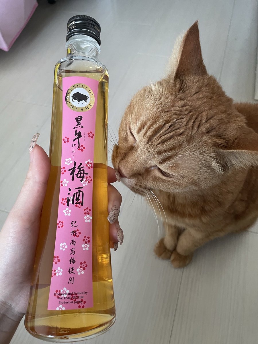 chun21369's tweet photo. げそさんいただきます！😋
(旅行のお土産) https://t.co/WCIQSFGoAP