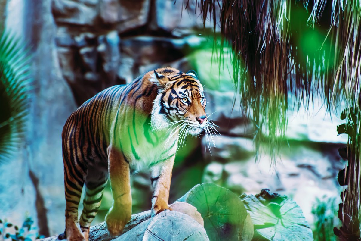 Thomas Martin tweet media