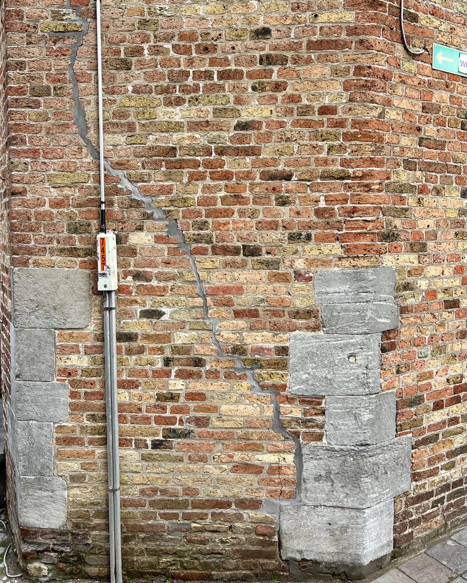 Matthew King tweet media