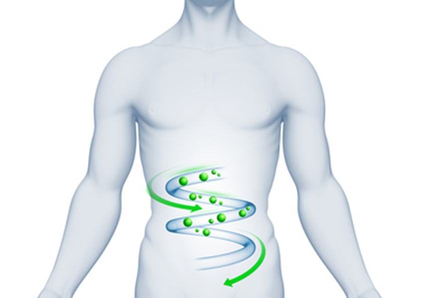 🔥 #MICI #MII Maladies inflammatoires et chroniques de l’intestin : le rôle anti-inflammatoire d’une bactérie du microbiote intestinal ouvre la voie vers de nouvelles pistes thérapeutiques

ow.ly/pIeZ50YoshN