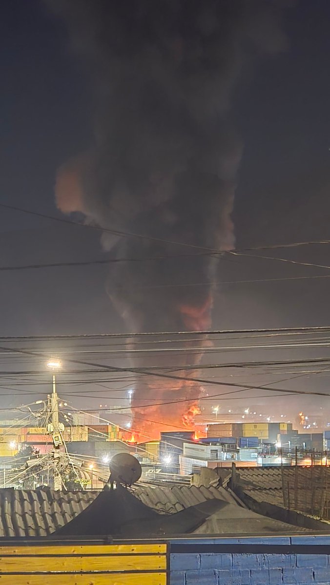 Makarena Villalón S. tweet media