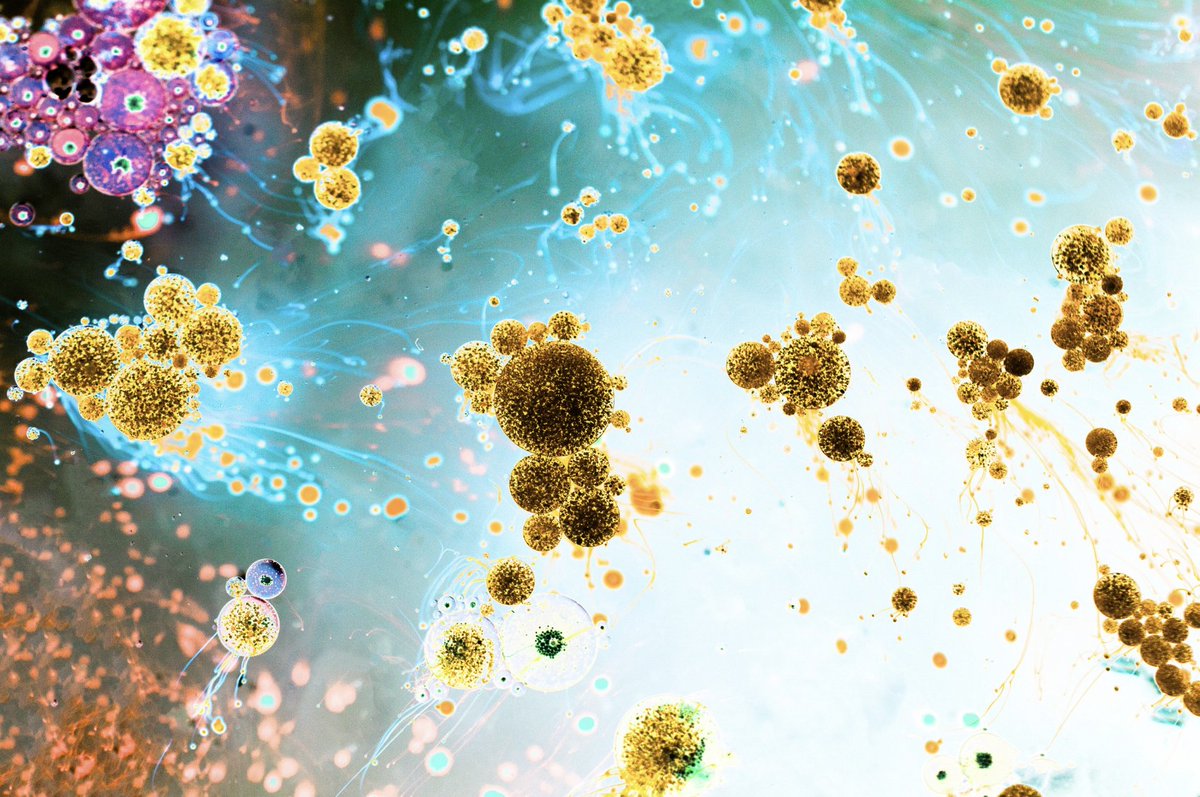 Science advances not only by discovering new phenomena, but by developing new ways to think about them.

>> Biological sensitivity to weak magnetic fields has been observed for decades! <<

What remains unclear is the mechanism. Understanding it requires tools from quantum