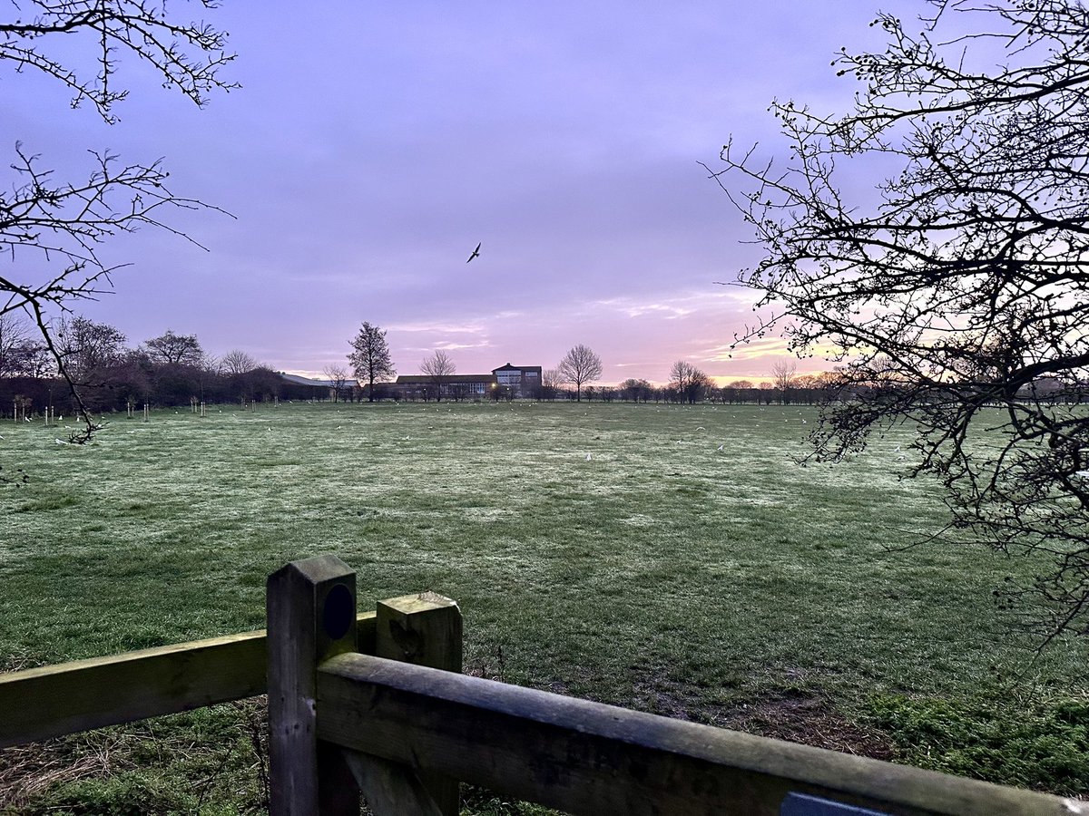 Progradar's tweet photo. An enjoyable recovery run with one of my favourite playlists for company, no Rush-ing along today though 😂🏃♂️😊 @RunComPod #flybynight https://t.co/NQ18VxzvH8