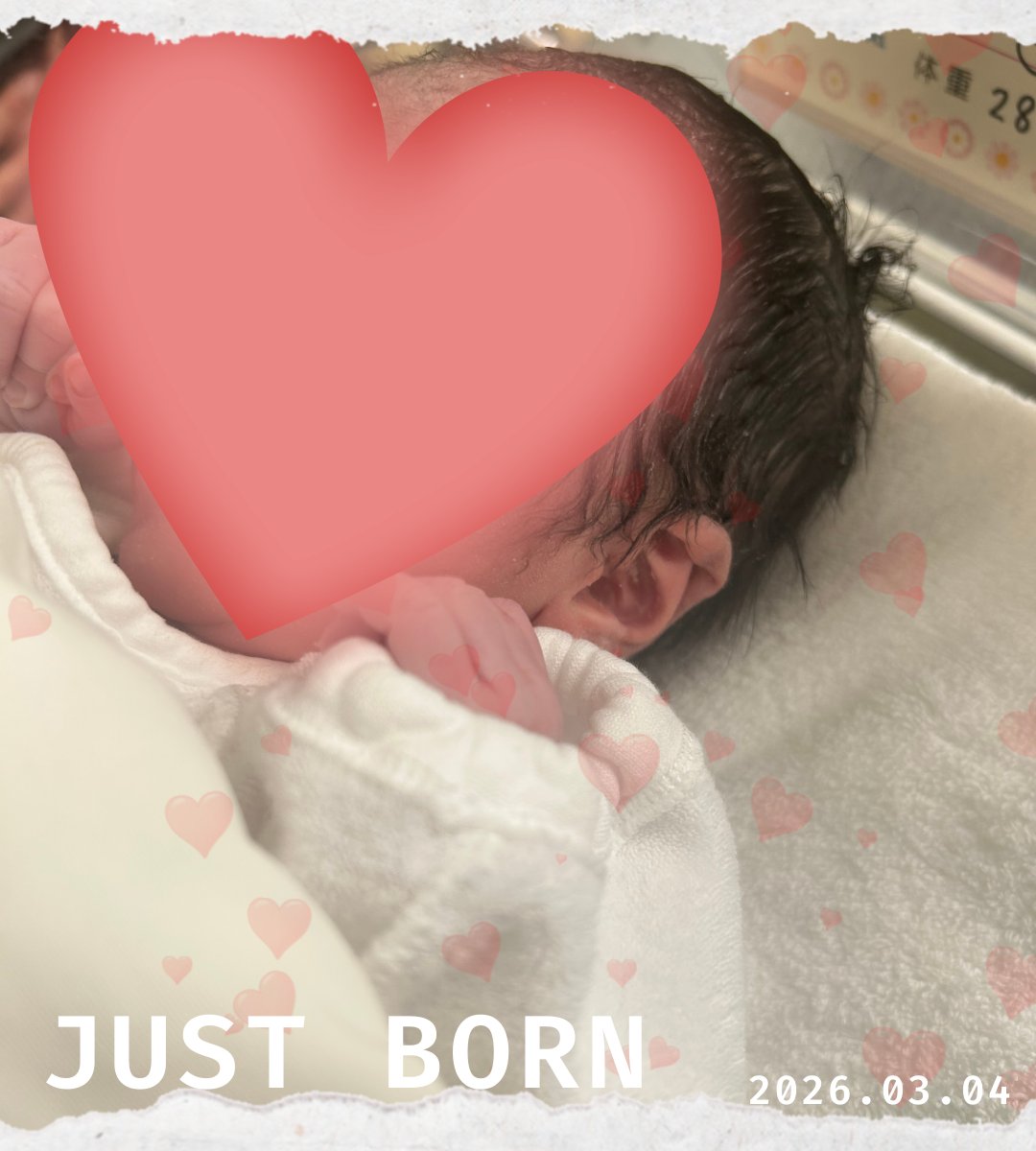 あやの| UI/UX・Webデザイナー tweet media