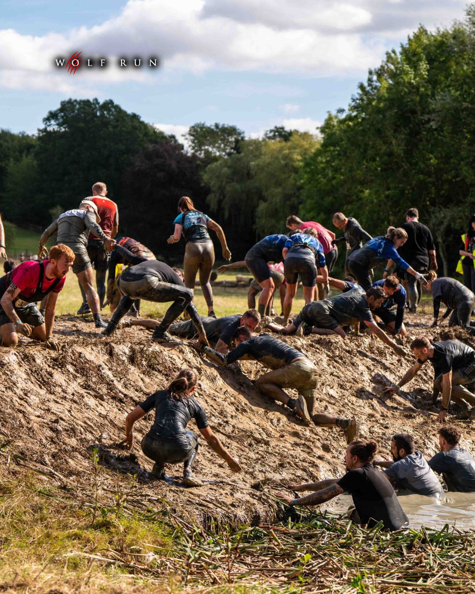 The Wolf Run tweet media